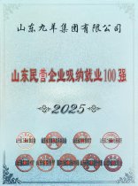 山東九羊集團(tuán)有限公司2025年度山東民營企業(yè)吸納就業(yè)100強(qiáng)