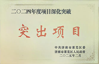 2024年度項目深化突破突出項目