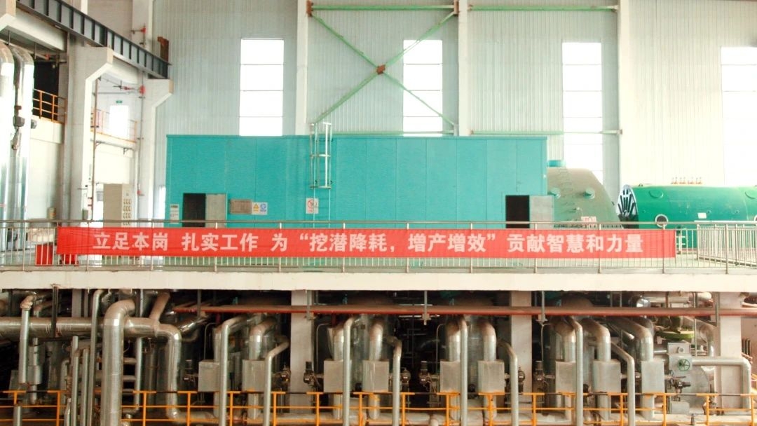 1723766674428029998.jpeg 3.jpeg